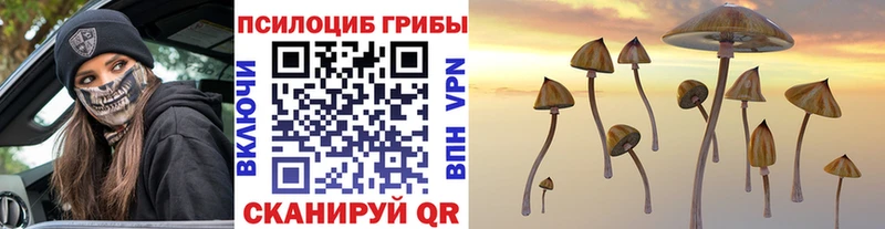 кракен ссылки Сорочинск Галлюциногенные грибы Cubensis